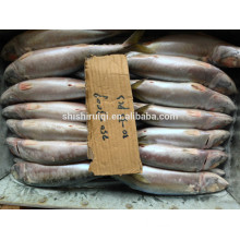 Froen Pacific Mackerel price